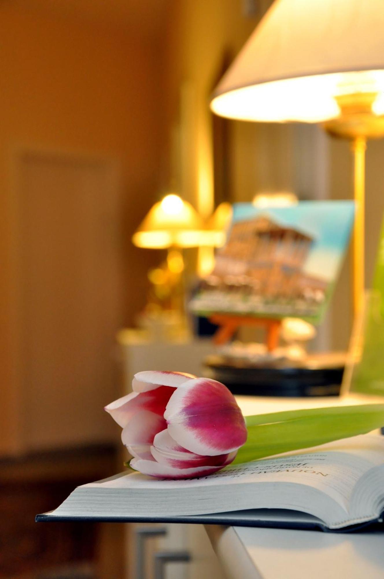 Hotel Apadana Frankfurt 2*