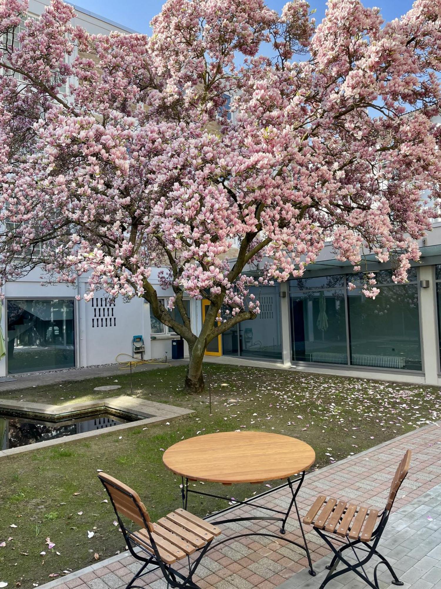 Hoffmanns Hoefe Hotel 3*