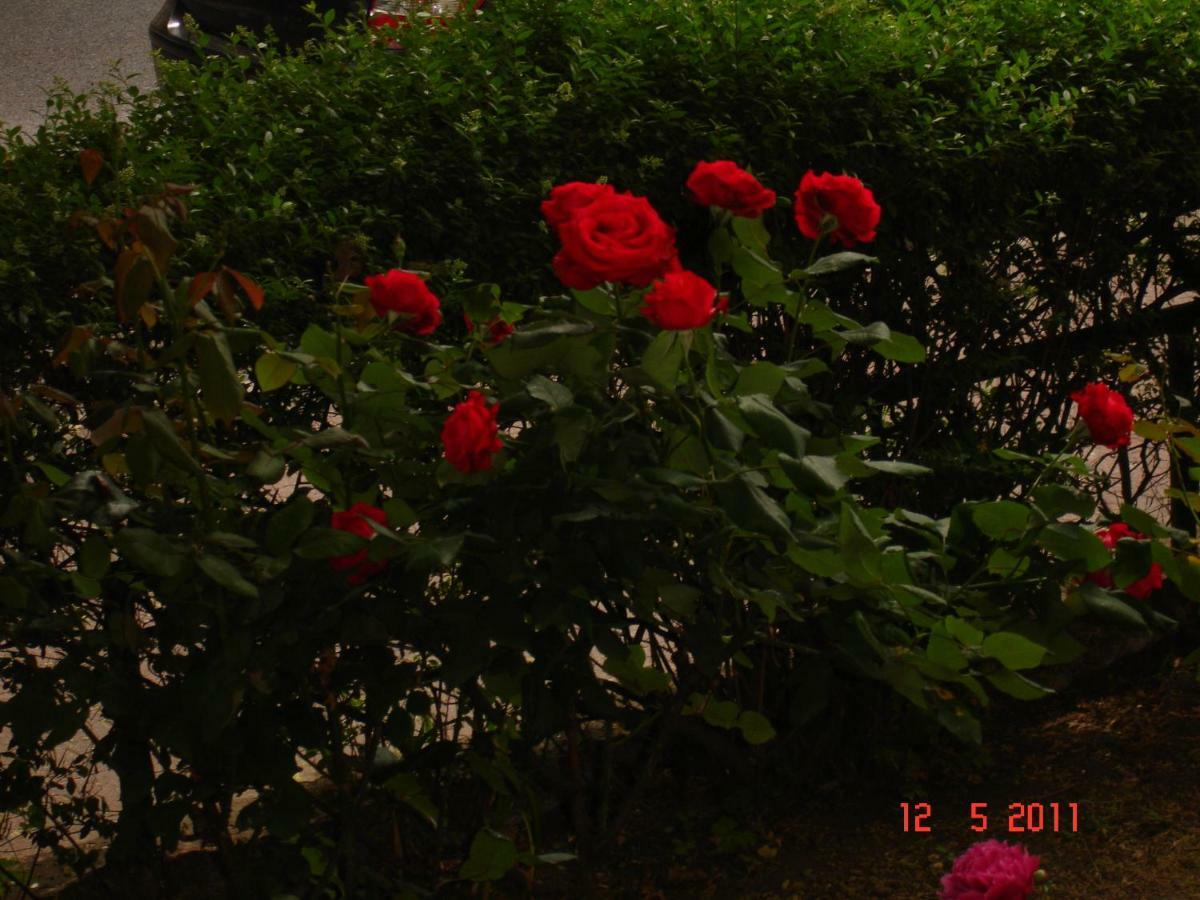 Acasa Bed & Breakfast 2*