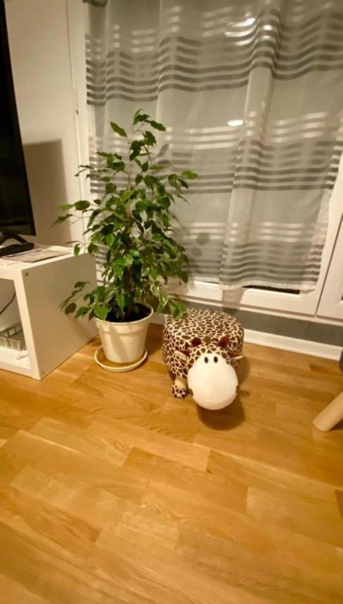 Schoenes Erwachen Im Frankfurter Penthouse Homestay Frankfurt am Main