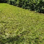 Apartment Near Fair And Central City In Few Min, With Garden