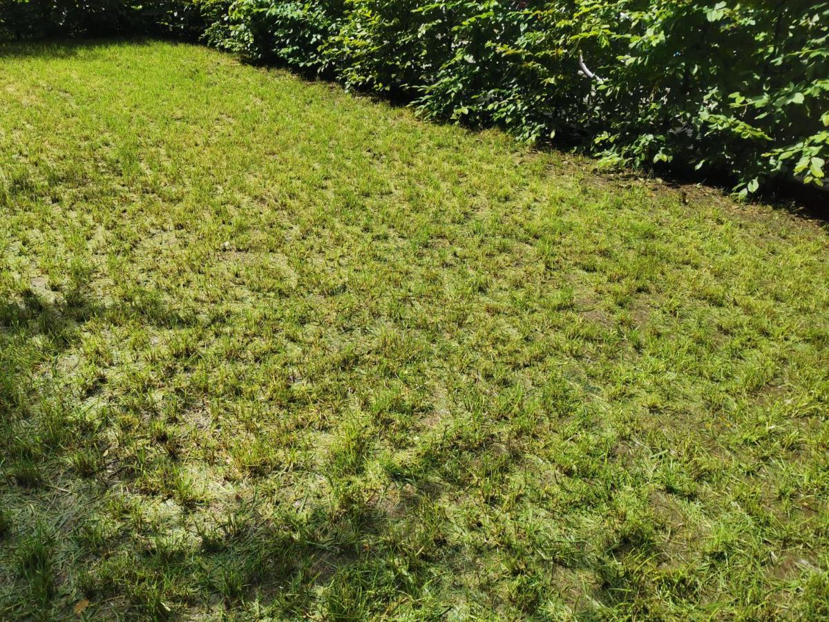 Appartement Near Fair And In Few Min, With Garden Francfort-sur-le-Main