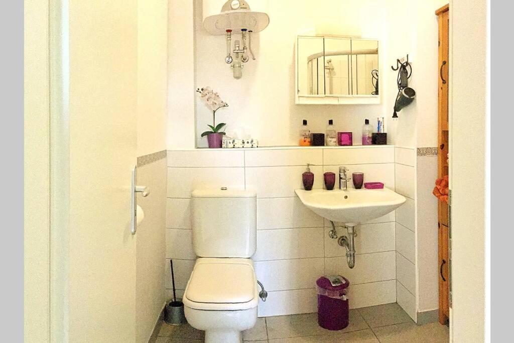 Apartment Comfortable Studio For Visiting Messe