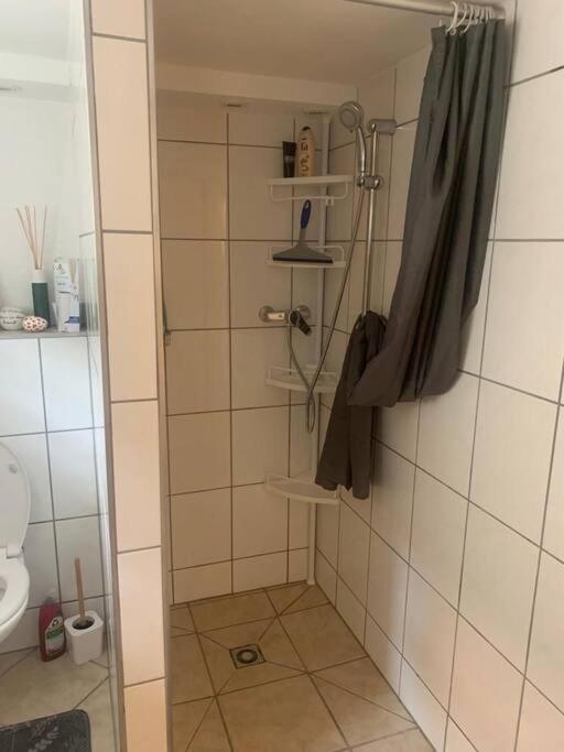 Souterrain Whg Im Einfamilienhaus -zentral In Frankfurt