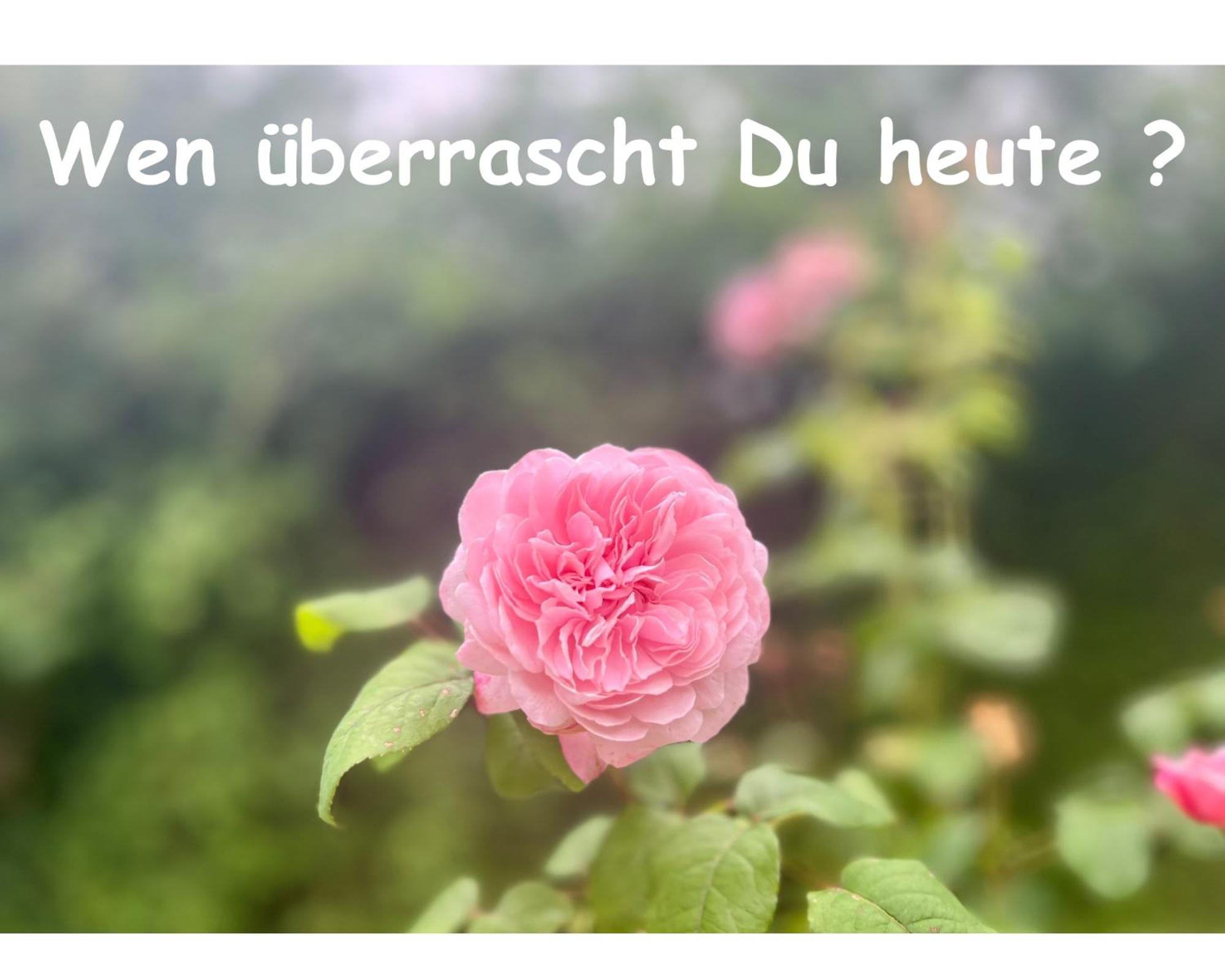 Romantik Pur - Schlafen Unter Dem Sternenhimmel Luxury tent