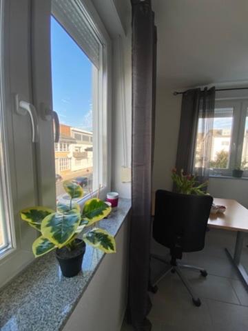 Living & Apartamento *