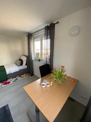 Apartamento Living & Fráncfort del Meno