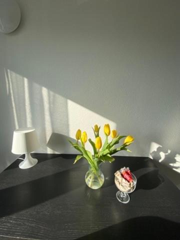 Living & Apartment *