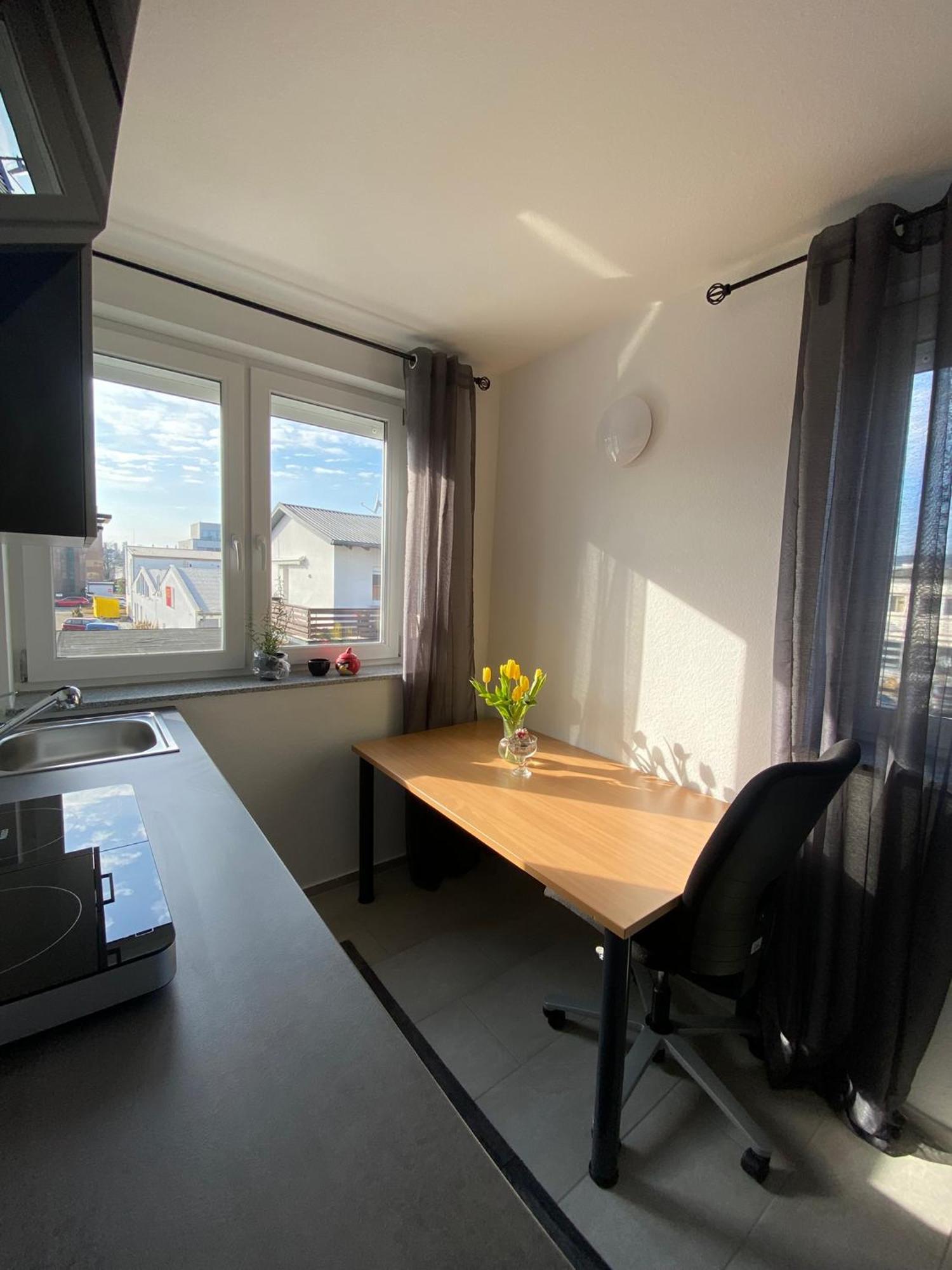 Living & Apartamento Fráncfort del Meno