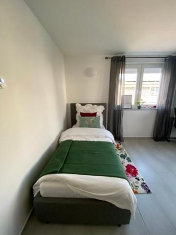 Apartamento Living & Fráncfort del Meno
