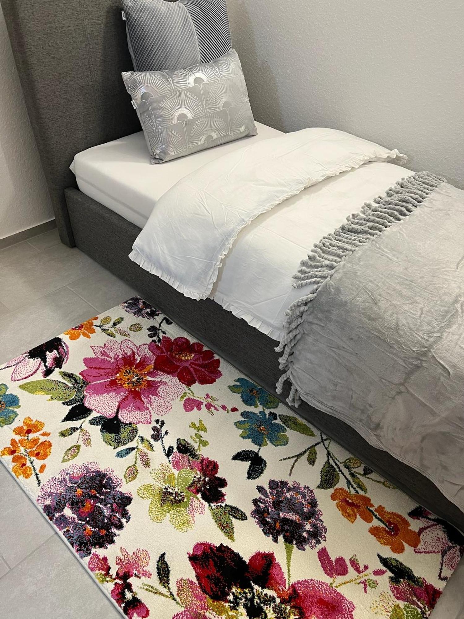 Apartamento Living & Fráncfort del Meno