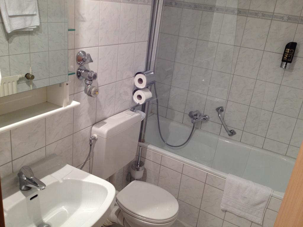 Hotel Alleenhof 3*